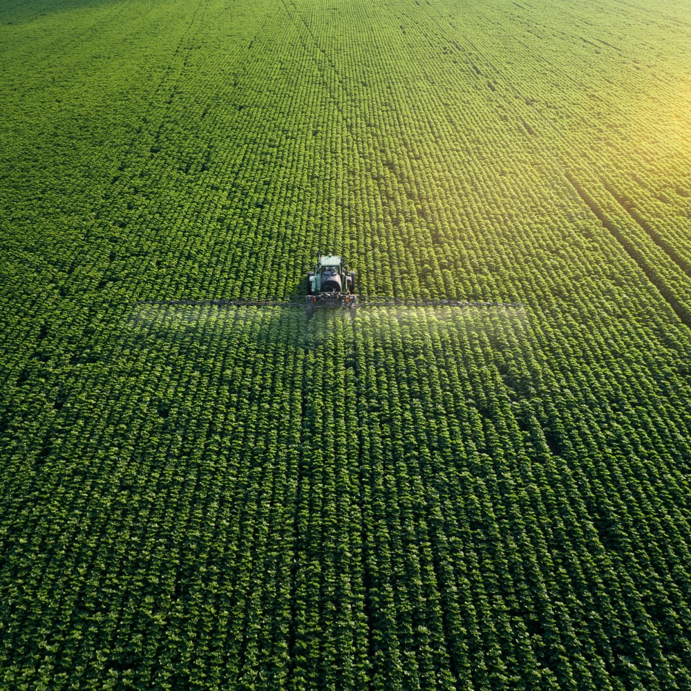 Biobased & Agrifood