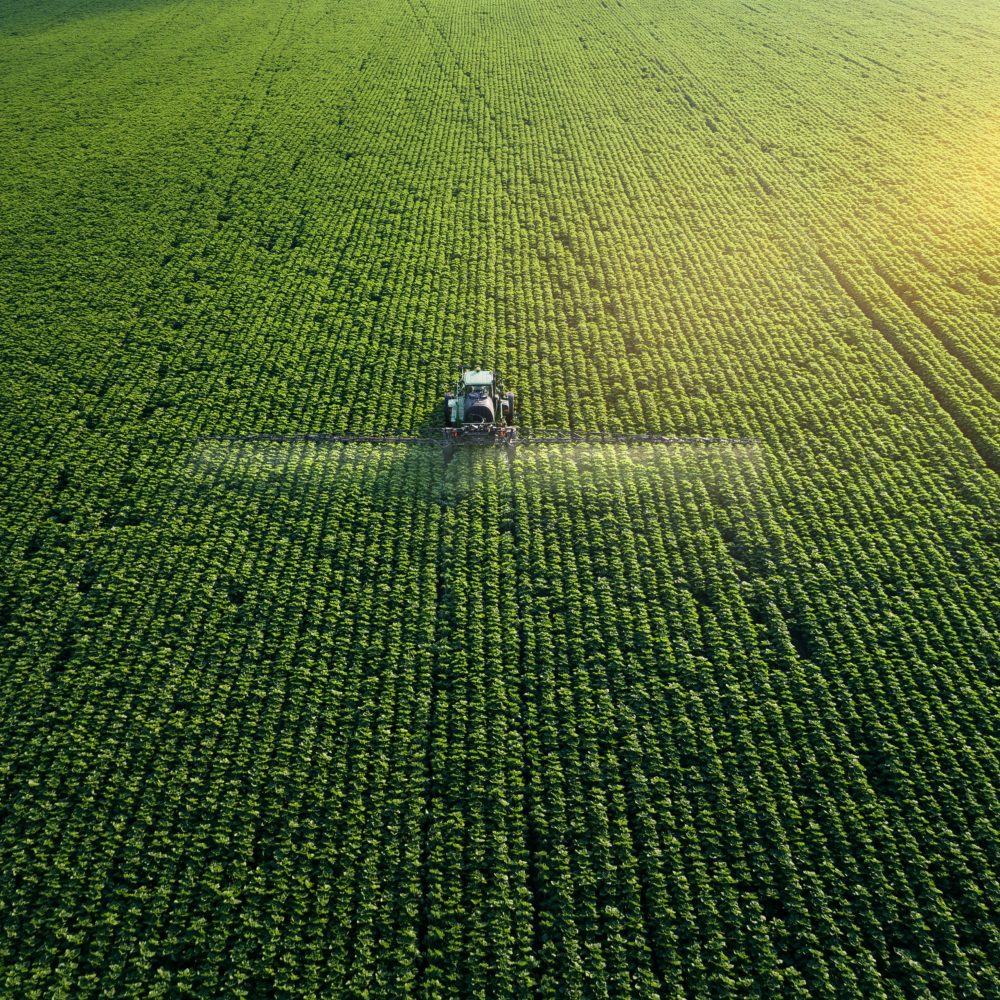 Bio-based & agrifood