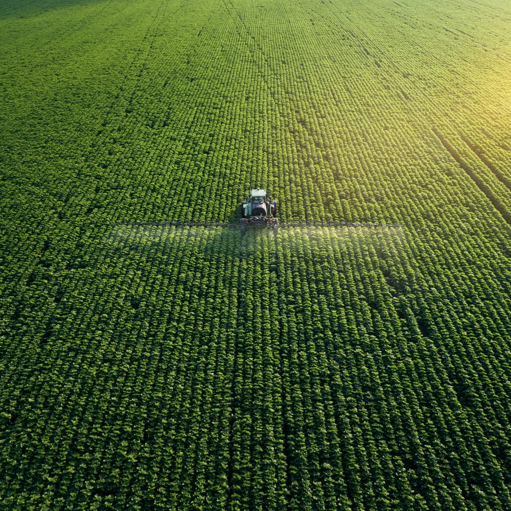 Bio-gebaseerde en agrofoodsector