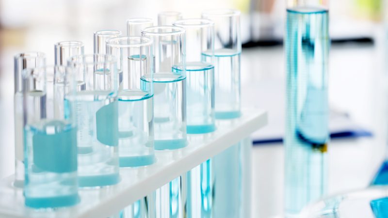Noch vier Monate bis zur Deadline: So legen Sie den Grundstein für einen erfolgreichen MSCA Doctoral Networks-Antrag