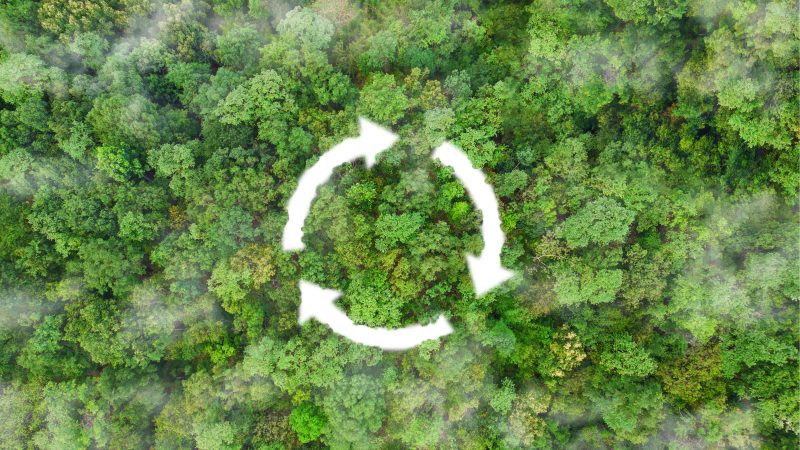 Measuring what matters: how Life Cycle Assessment drives meaningful innovation