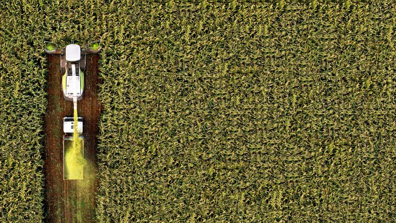 Mehr Förderung durch strategischen Fördermix