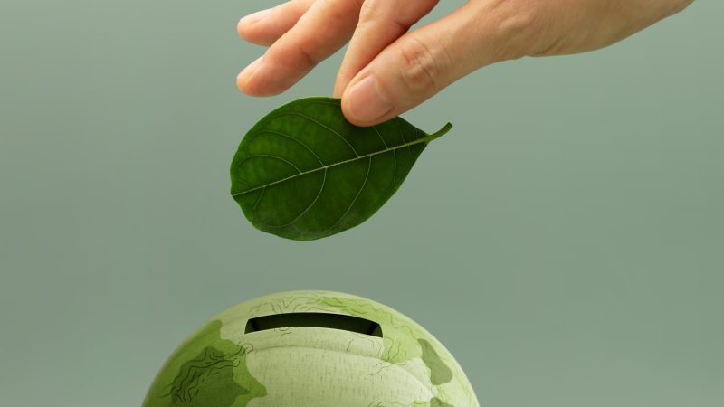 Het nieuwe kabinet wil de EIA en MIA\Vamil samenvoegen. Is dat verstandig?