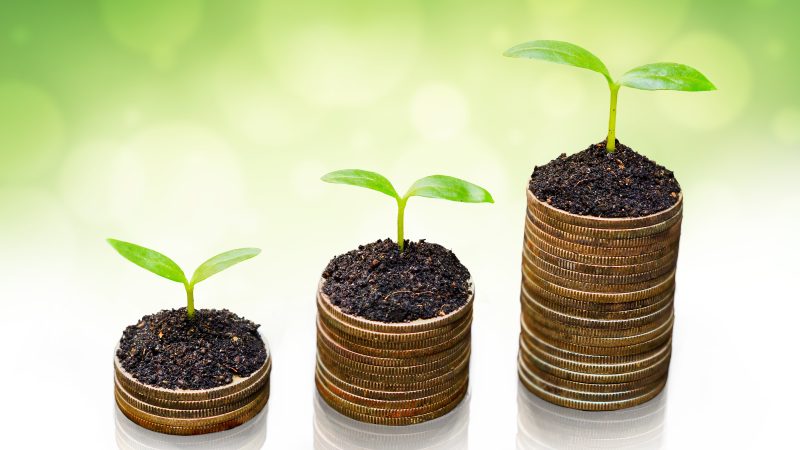 Laatste kans: benut EIA en MIA\Vamil voor Q4 2025