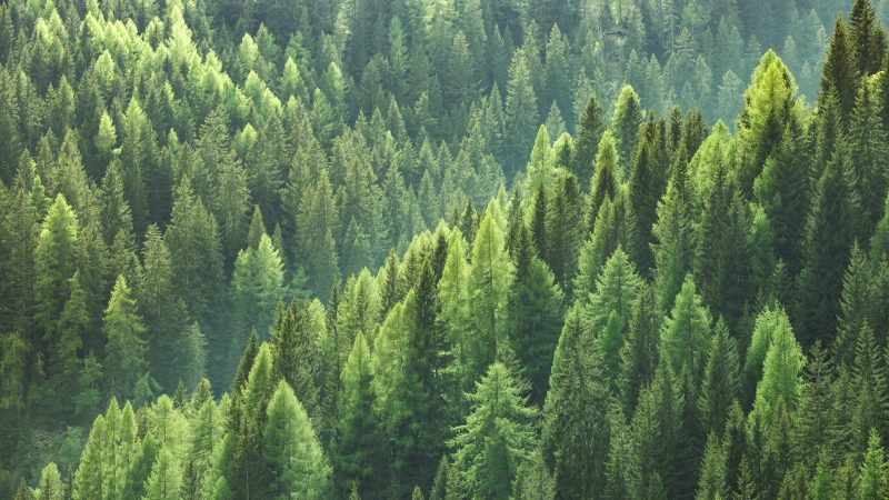 FBIA 2026: Chance für Bioökonomie