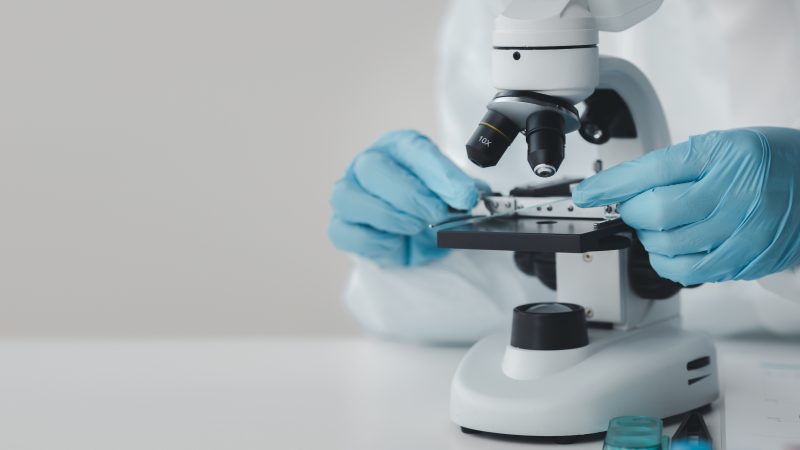 „Kickstart FUTUR“: Förderung für frühe Energieforschung