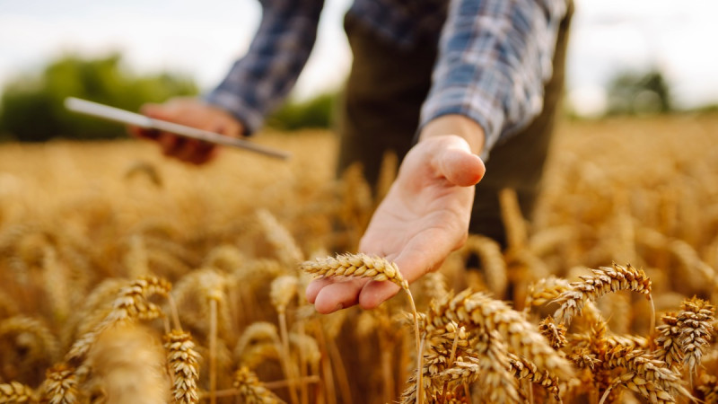 C4B Open Call: helping circular bioeconomy ideas become real-world pilot projects