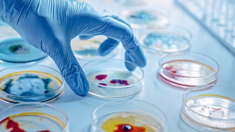 EIC Pathfinder Challenge 2026: Biotechnology for Healthy Ageing