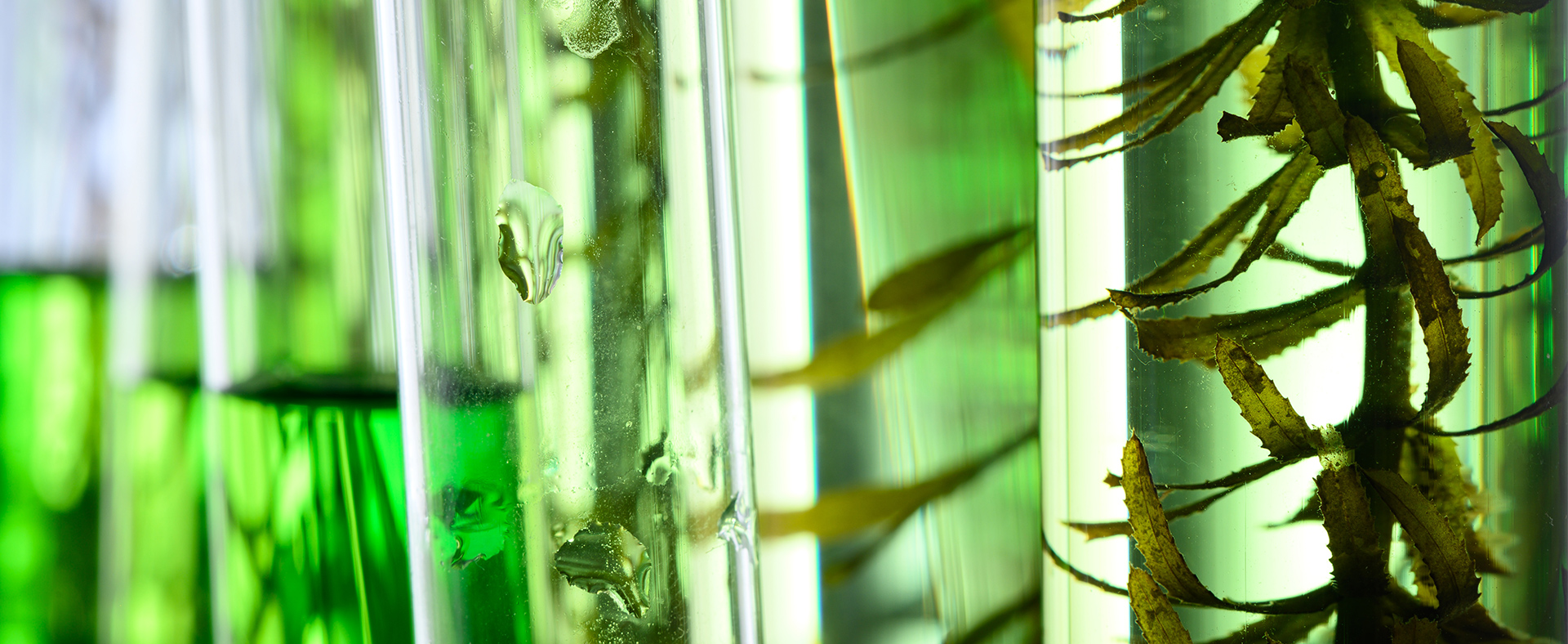 Innovative Technologie - ZIM und Innovate UK